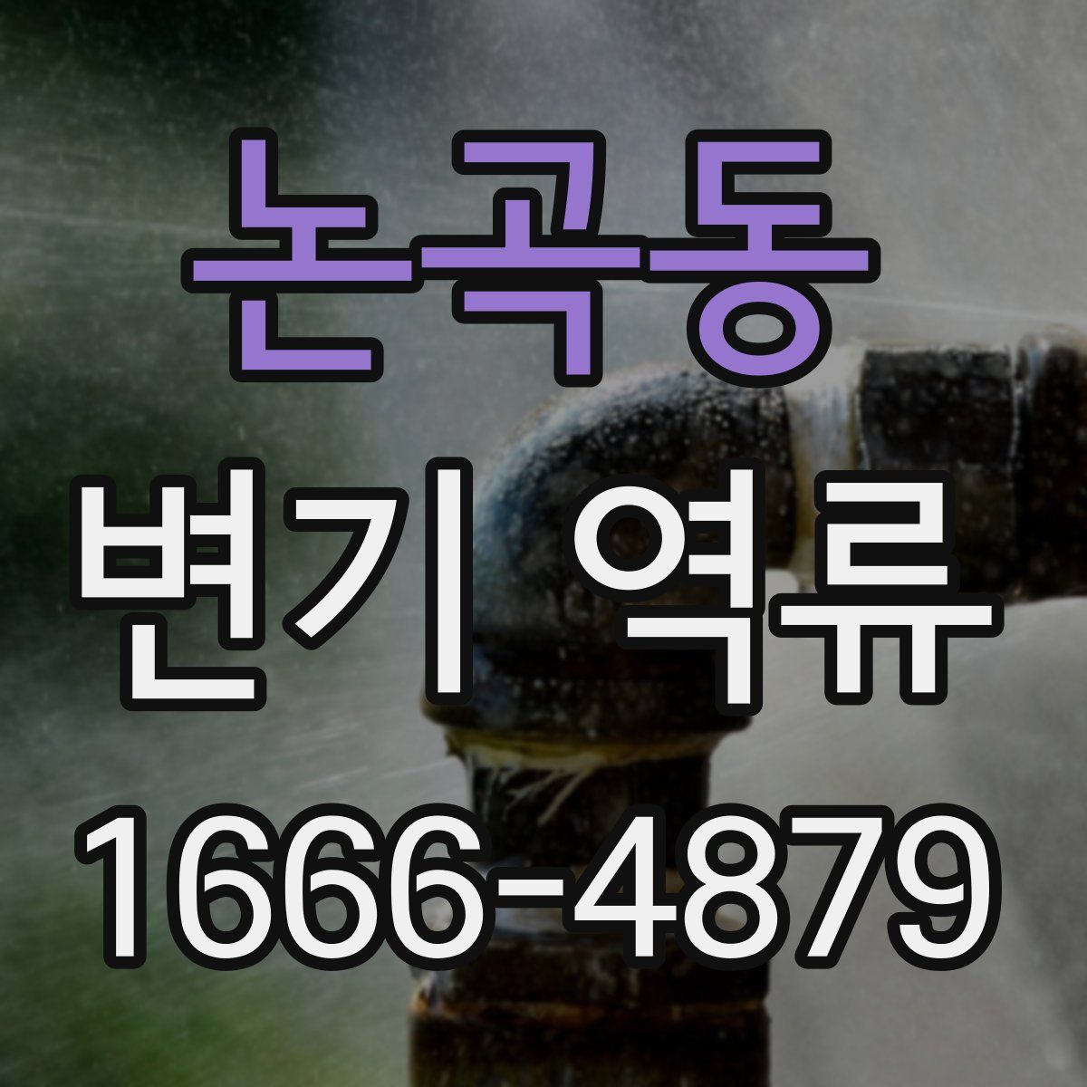 논곡동 변기 역류