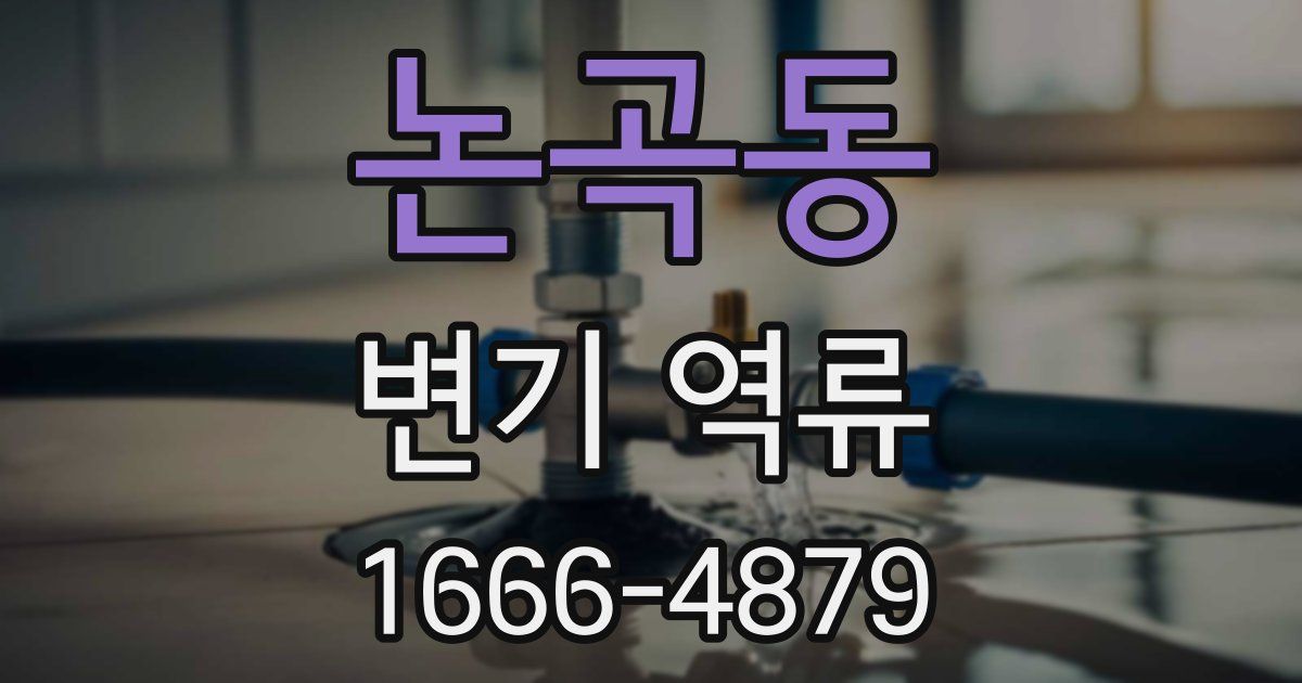 논곡동 변기 역류