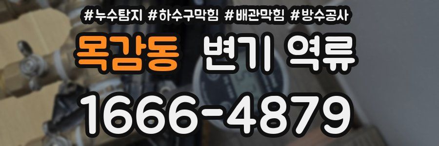 목감동 변기 역류