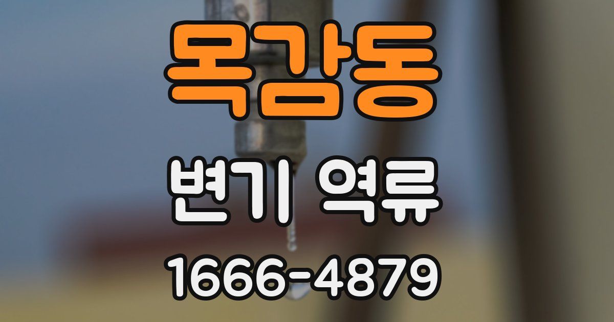 목감동 변기 역류
