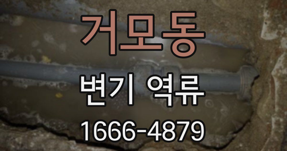 거모동 변기 역류