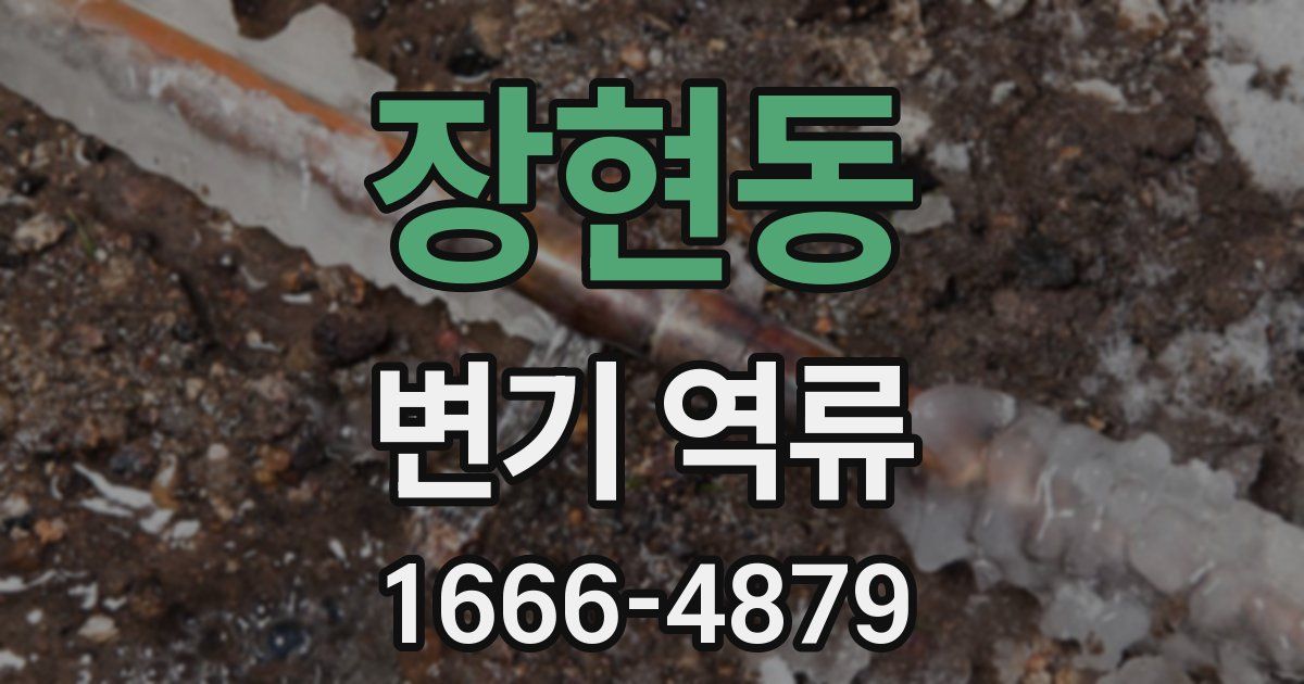 장현동 변기 역류