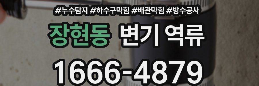 장현동 변기 역류