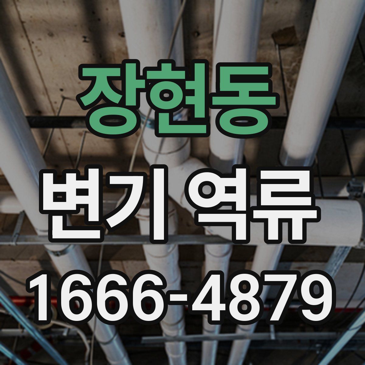 장현동 변기 역류
