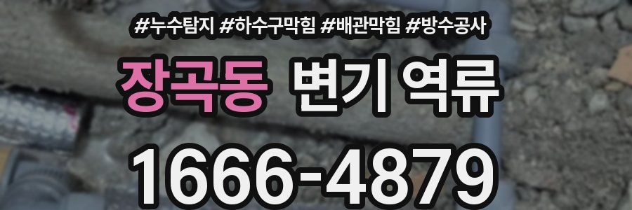 장곡동 변기 역류