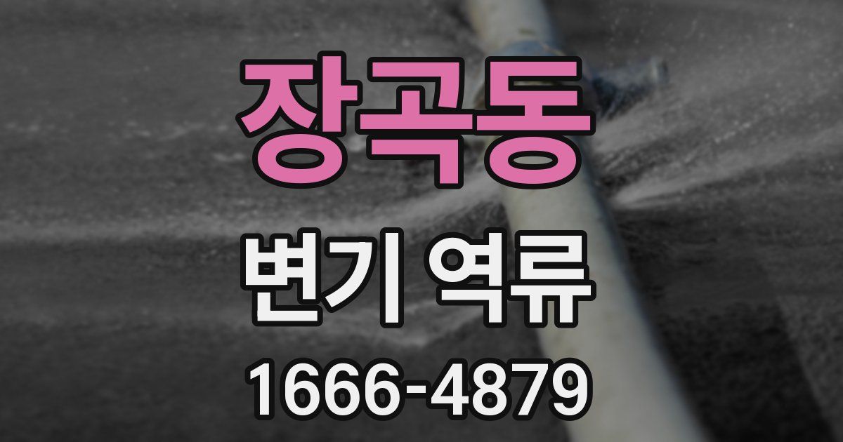 장곡동 변기 역류