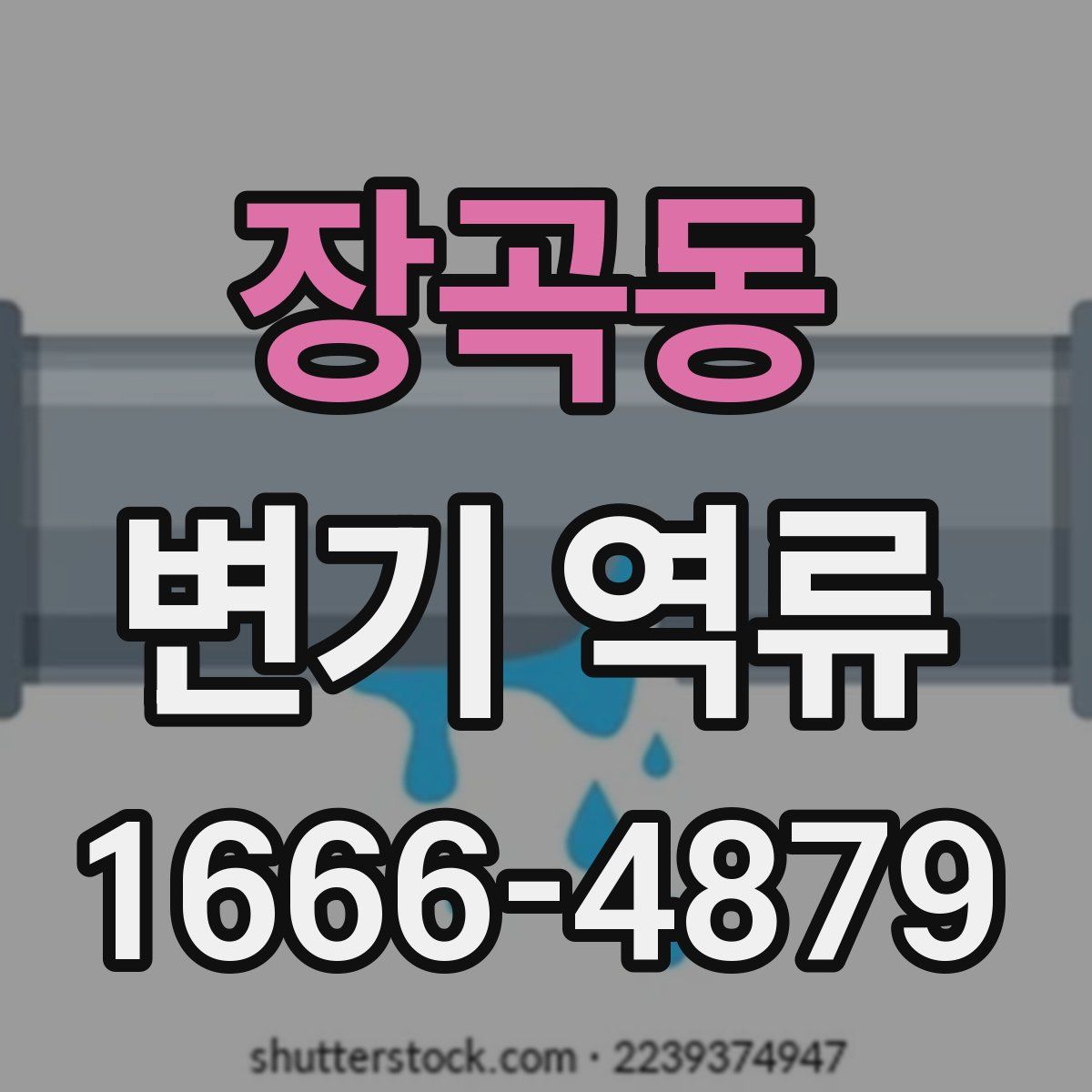장곡동 변기 역류