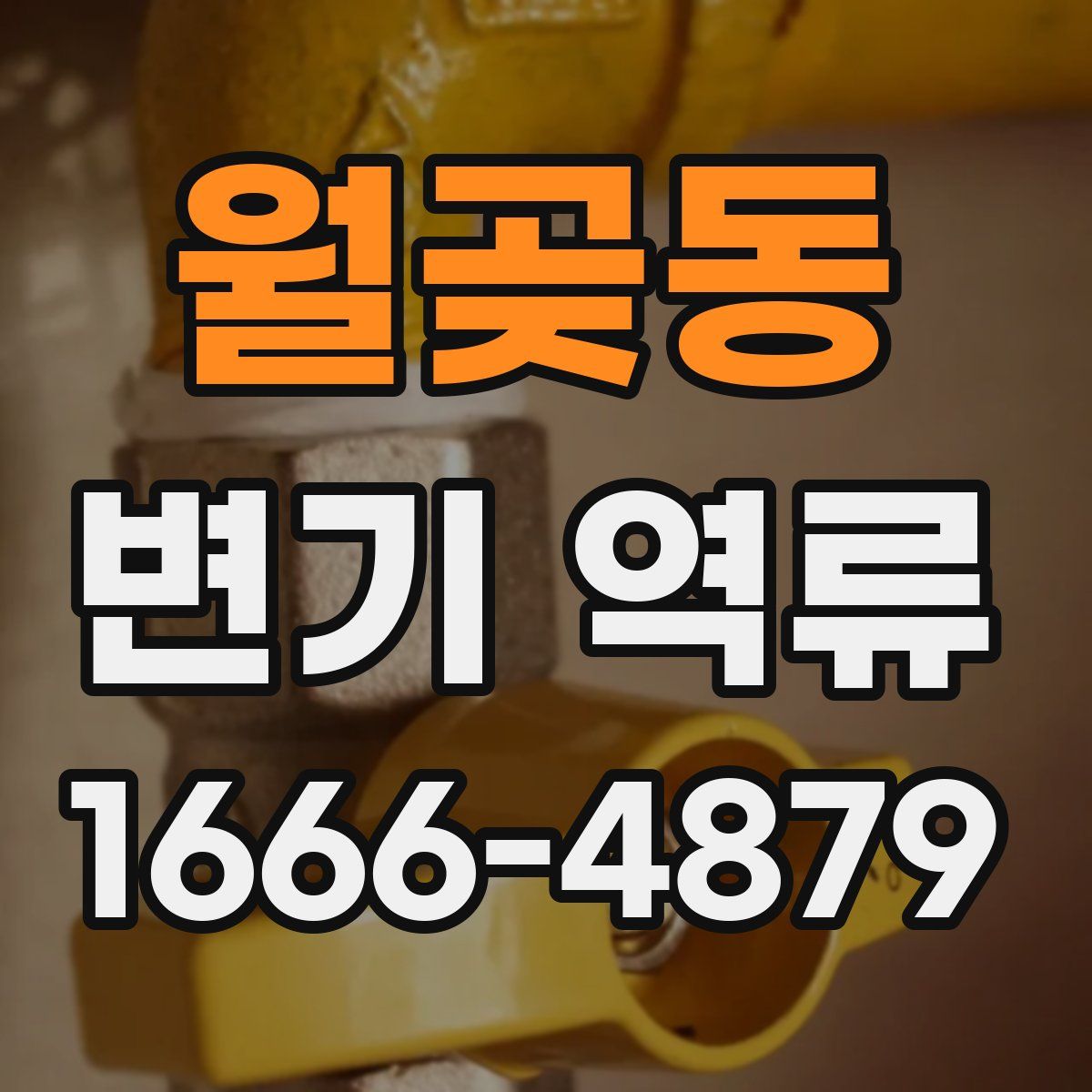 월곶동 변기 역류