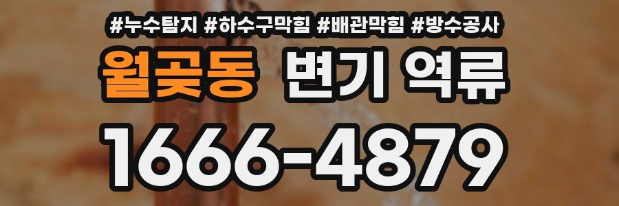 월곶동 변기 역류