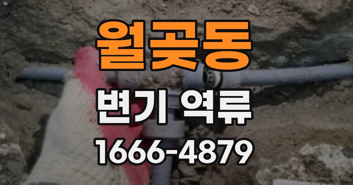 월곶동 변기 역류