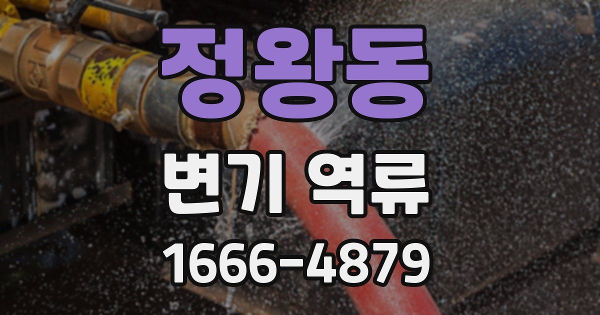 정왕동 변기 역류
