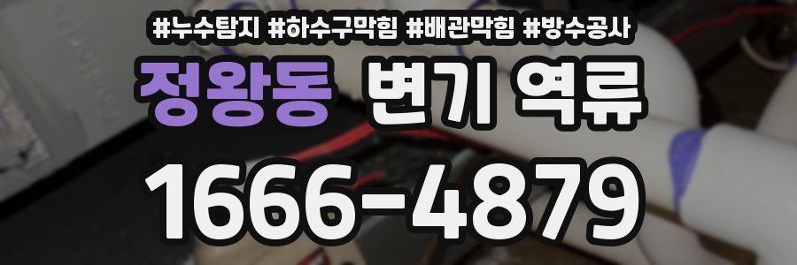정왕동 변기 역류