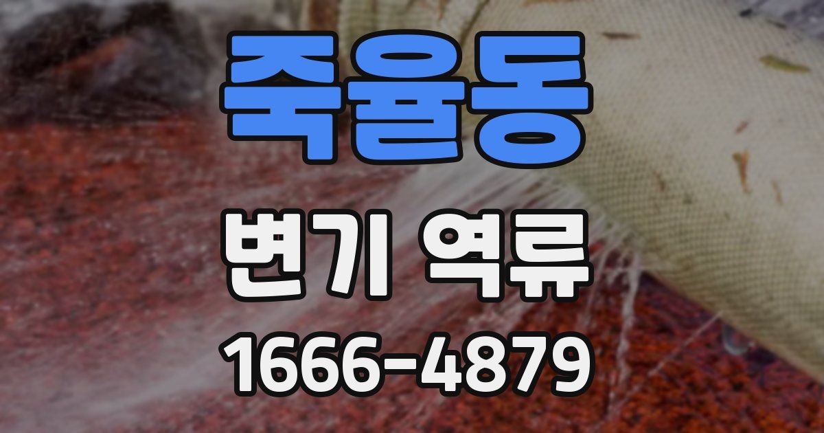 죽율동 변기 역류