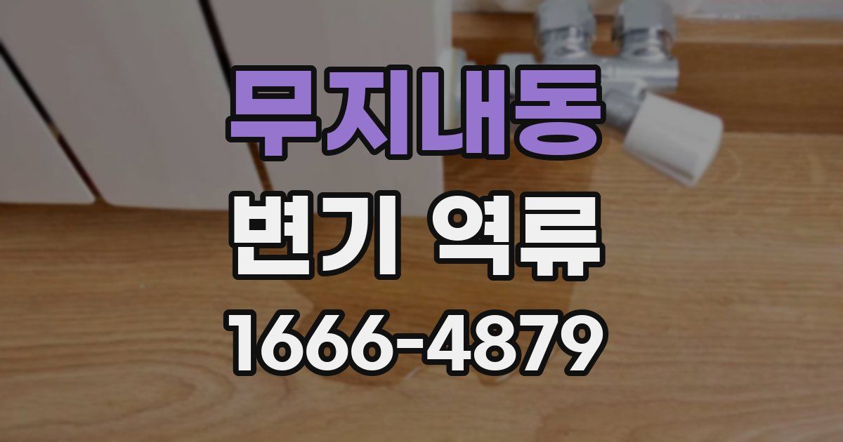 무지내동 변기 역류