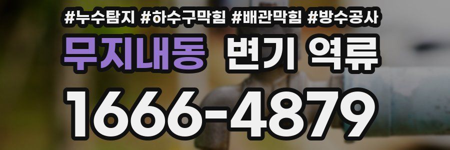 무지내동 변기 역류