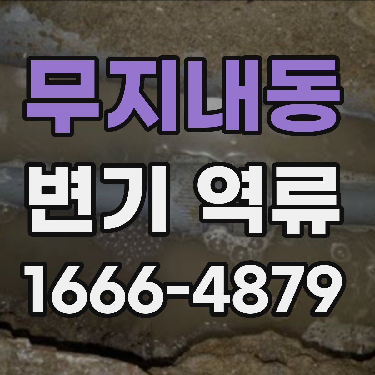 무지내동 변기 역류