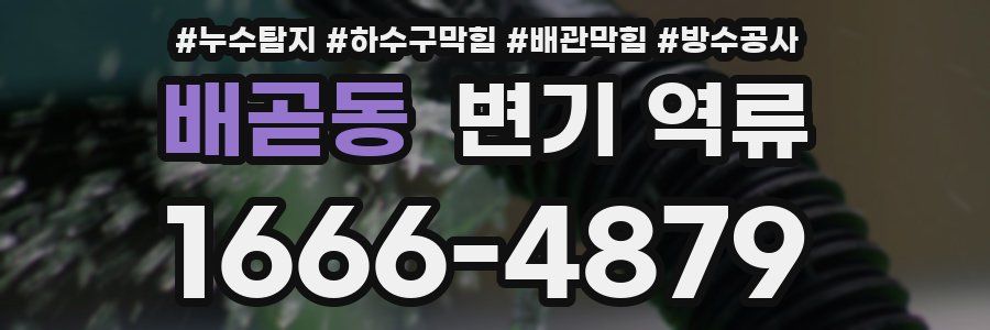배곧동 변기 역류