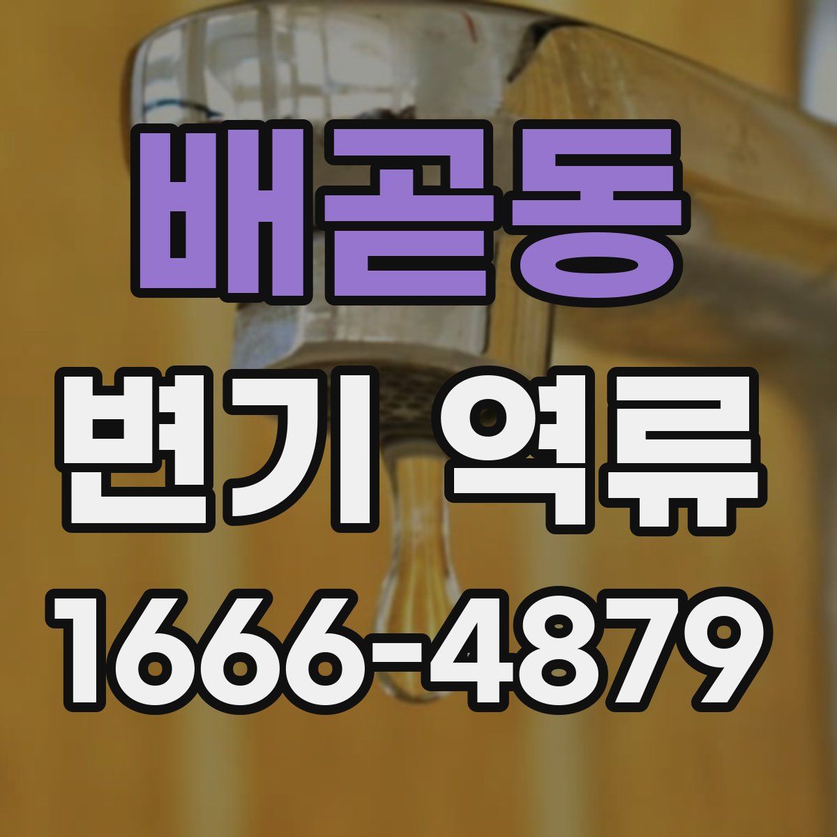 배곧동 변기 역류