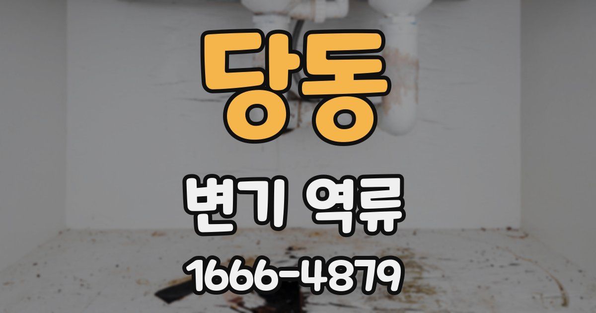 당동 변기 역류