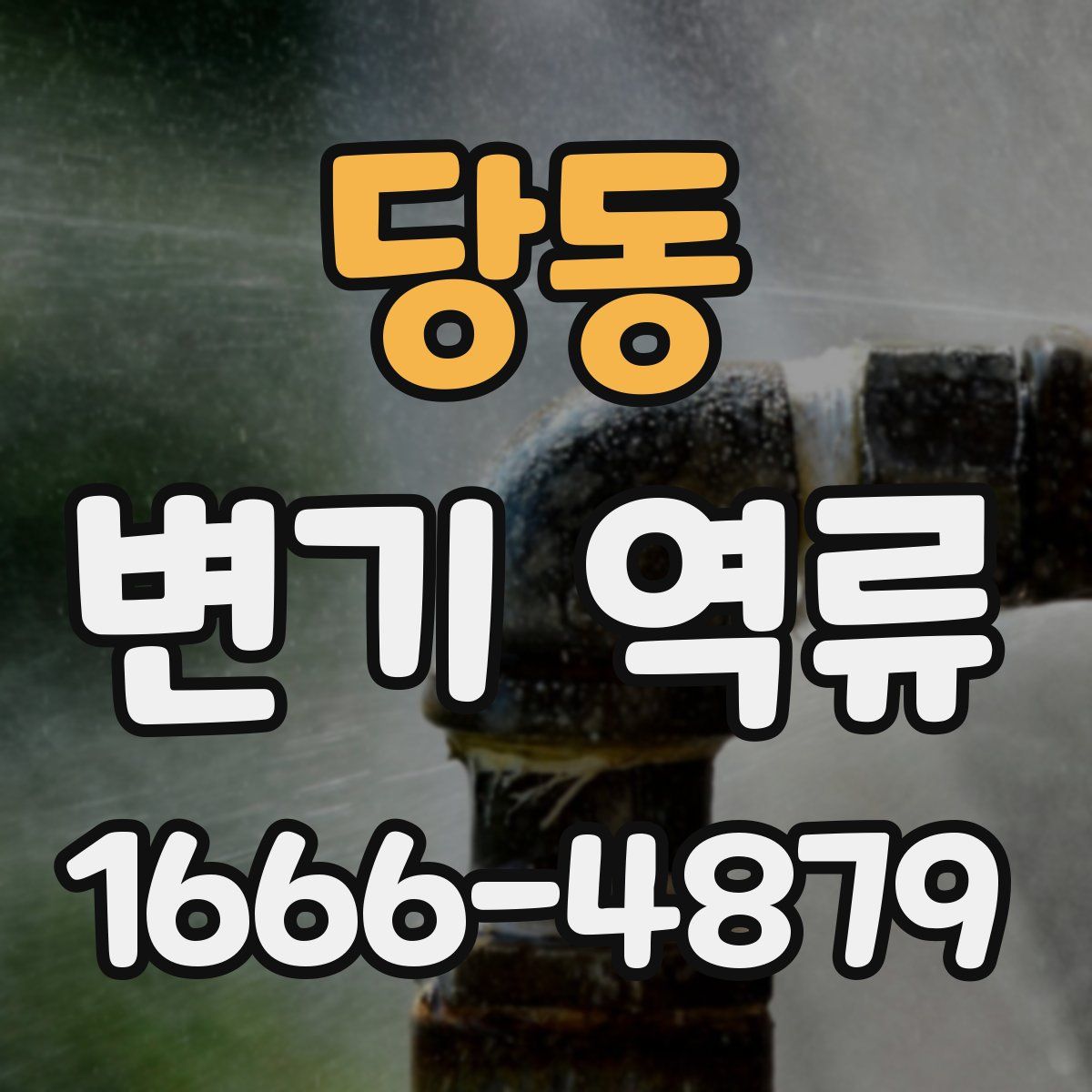 당동 변기 역류