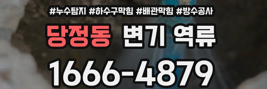 당정동 변기 역류