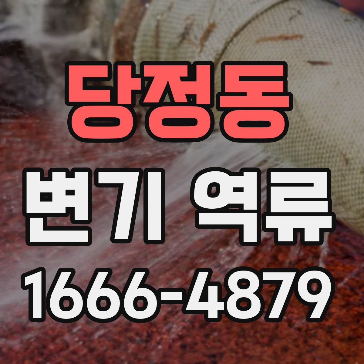 당정동 변기 역류