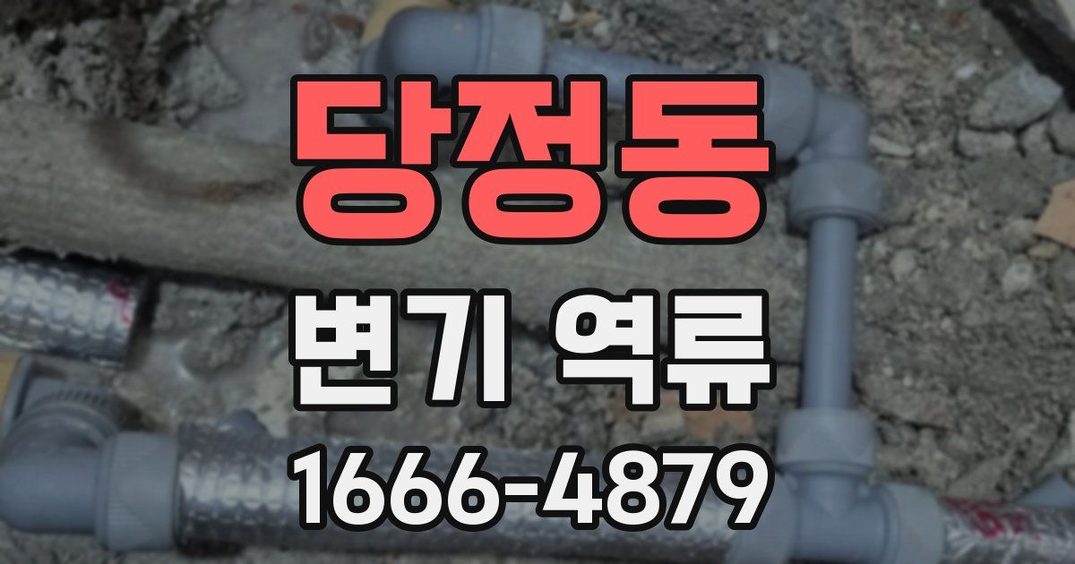 당정동 변기 역류