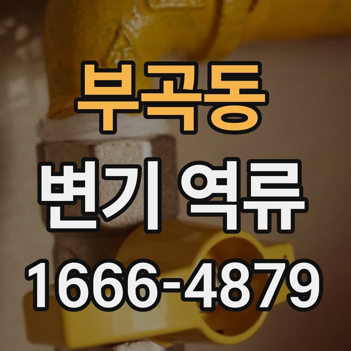 부곡동 변기 역류 배수 상태를 점검하는 방법