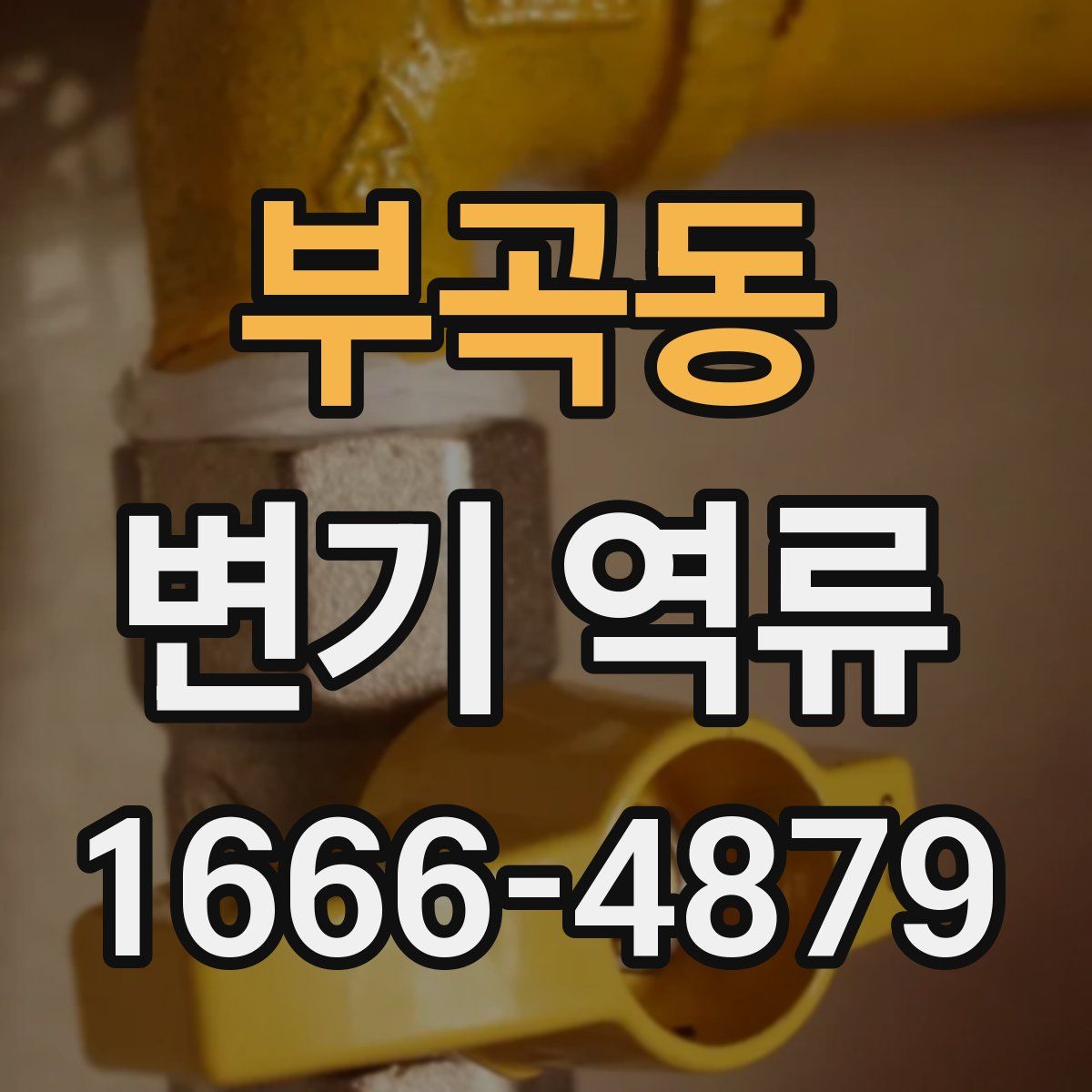 부곡동 변기 역류