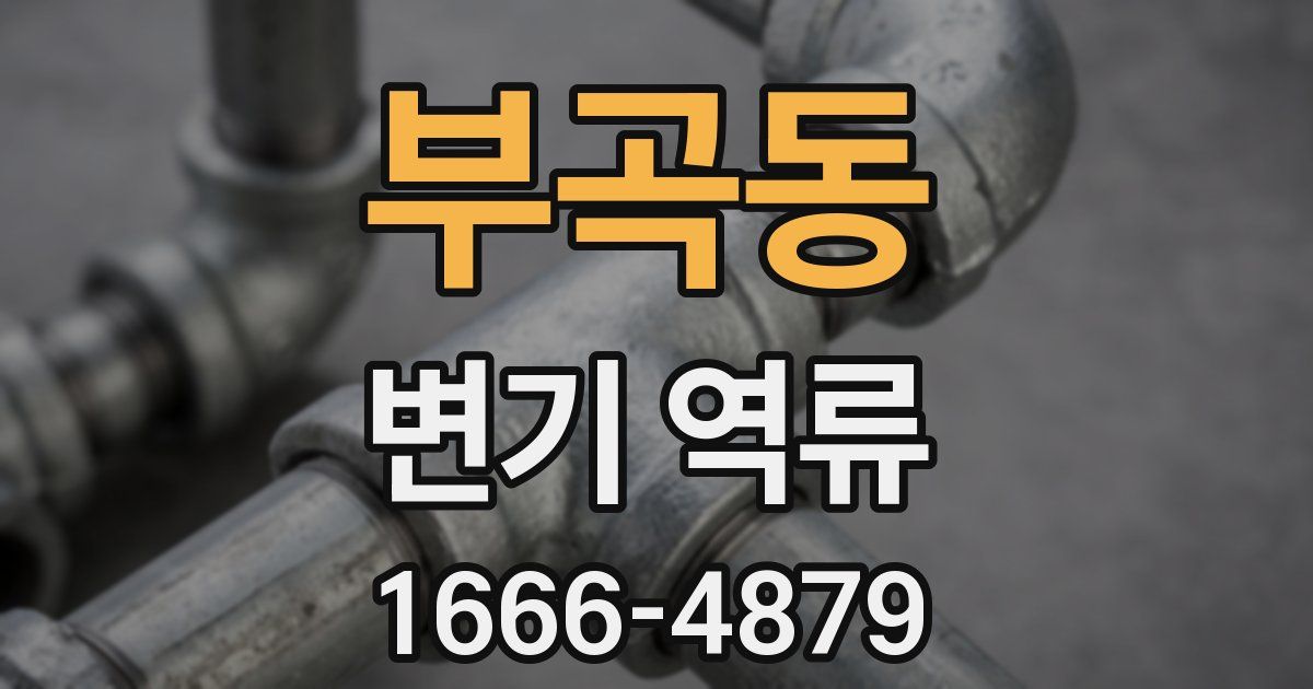 부곡동 변기 역류