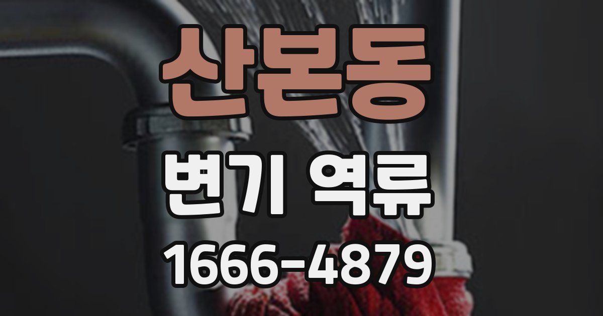 산본동 변기 역류