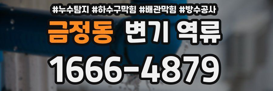 금정동 변기 역류