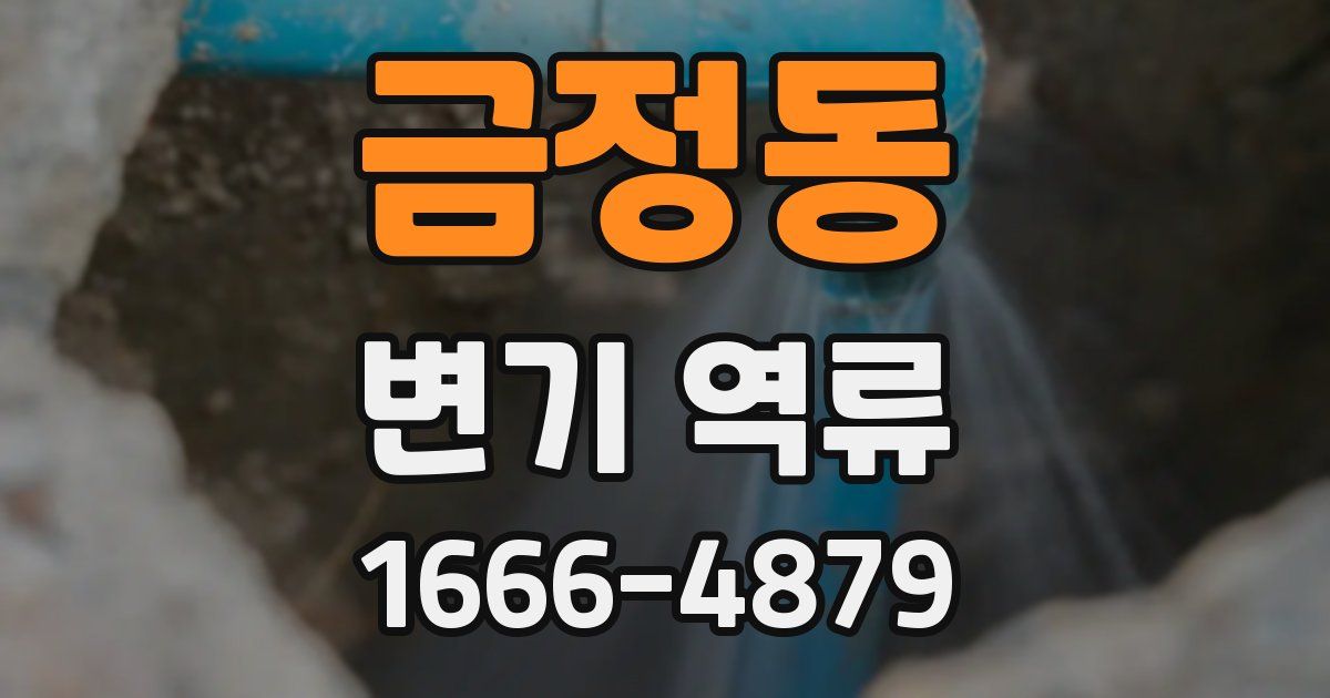 금정동 변기 역류