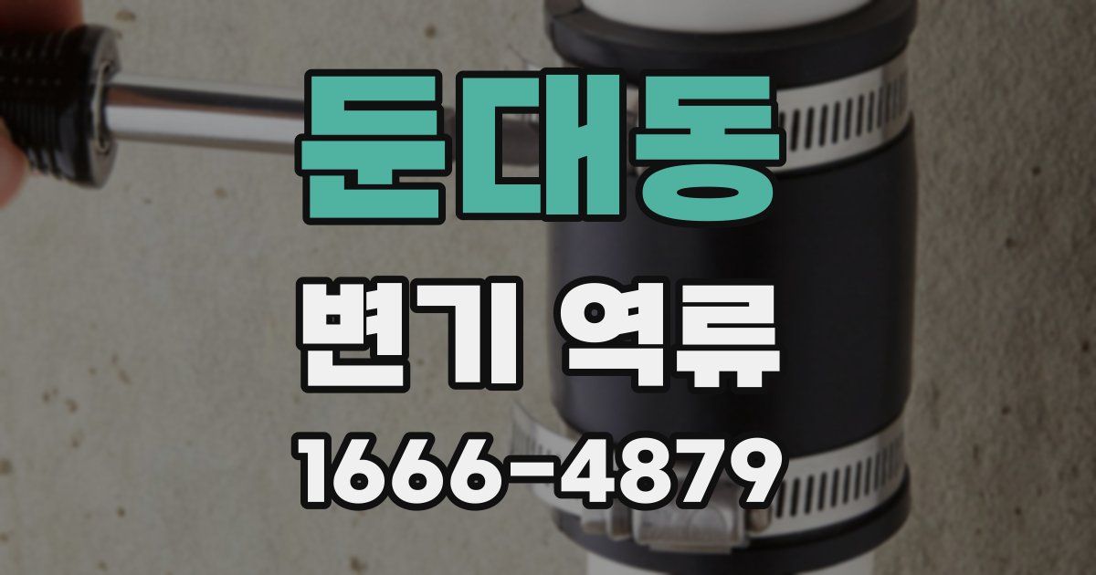 둔대동 변기 역류