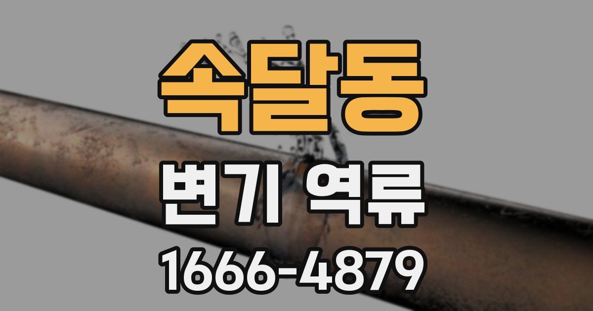 속달동 변기 역류