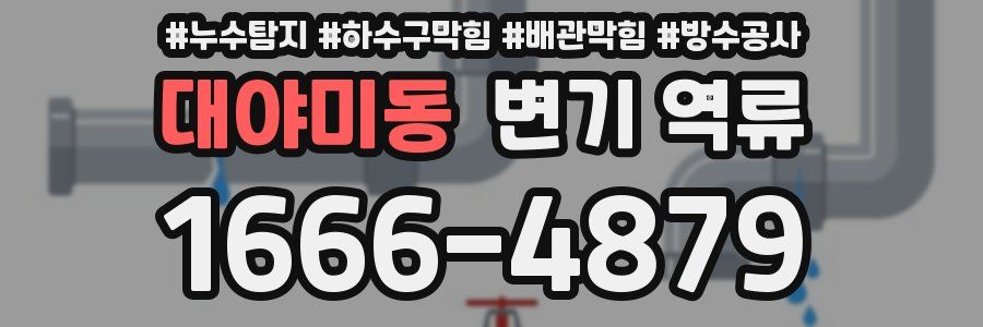 대야미동 변기 역류