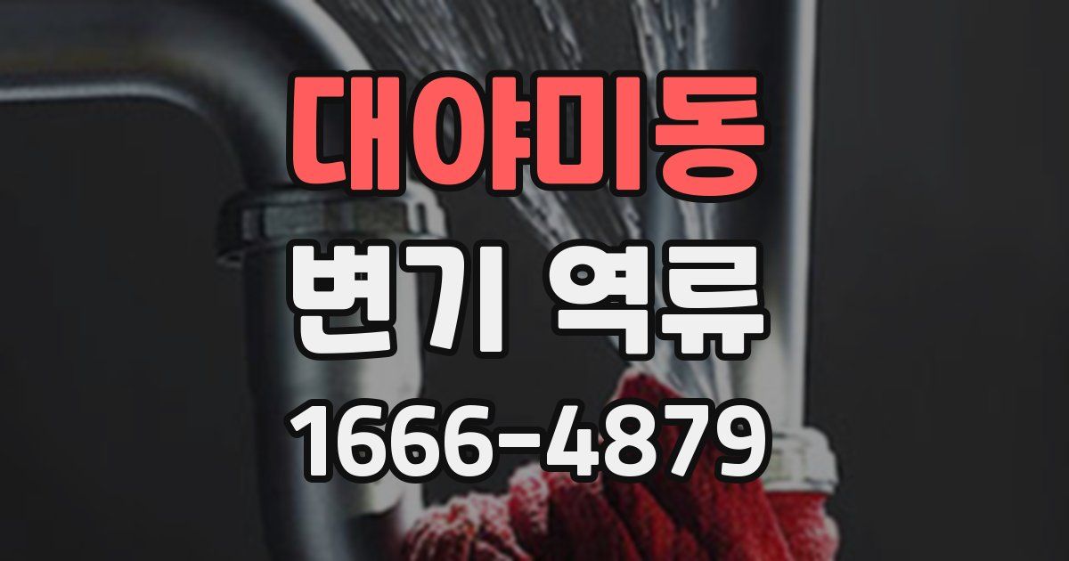 대야미동 변기 역류