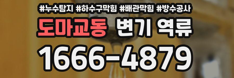 도마교동 변기 역류