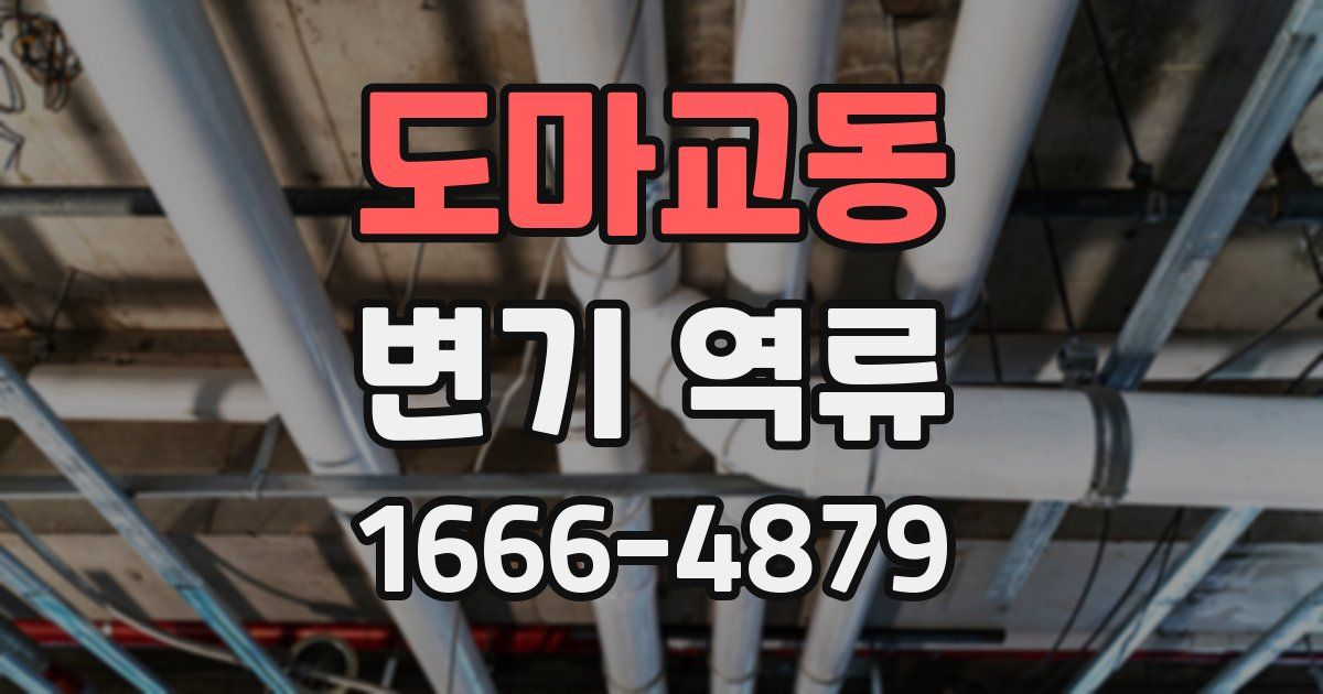 도마교동 변기 역류