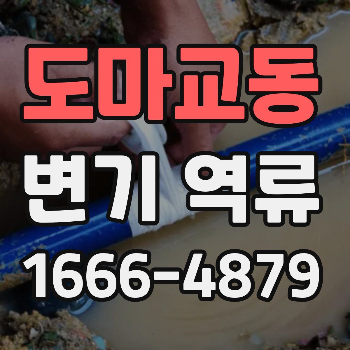 도마교동 변기 역류