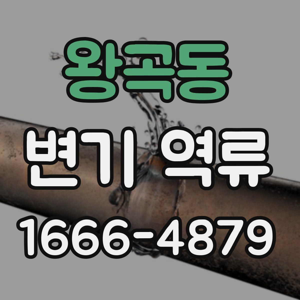 왕곡동 변기 역류