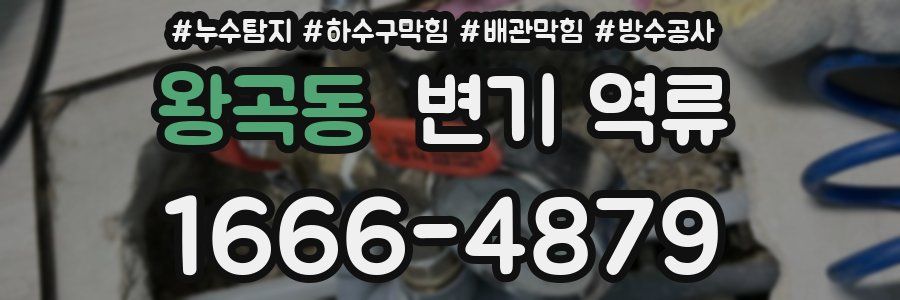 왕곡동 변기 역류