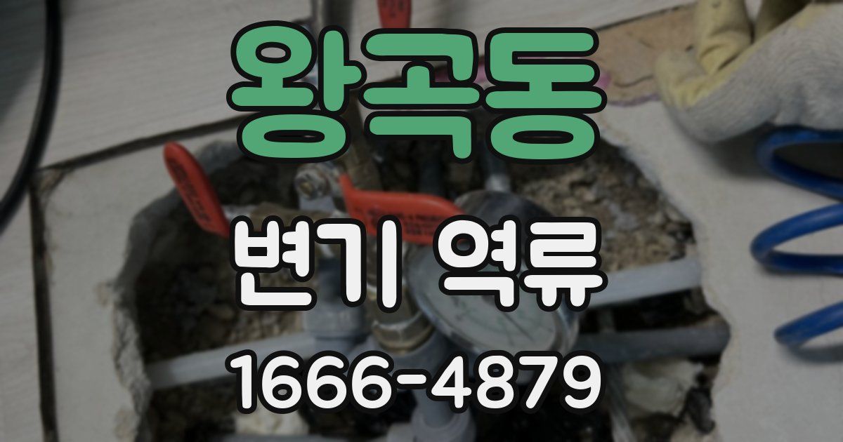 왕곡동 변기 역류