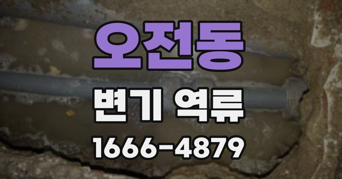 오전동 변기 역류