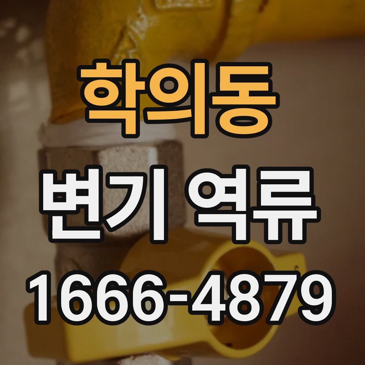 학의동 변기 역류