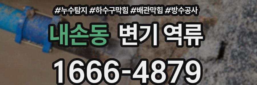 내손동 변기 역류