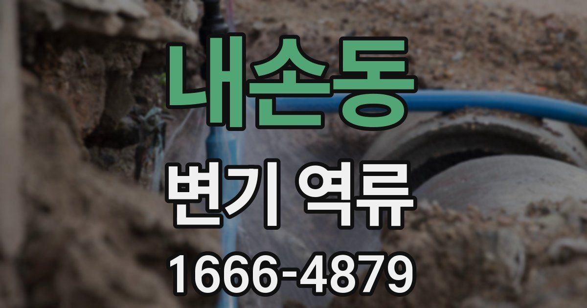내손동 변기 역류