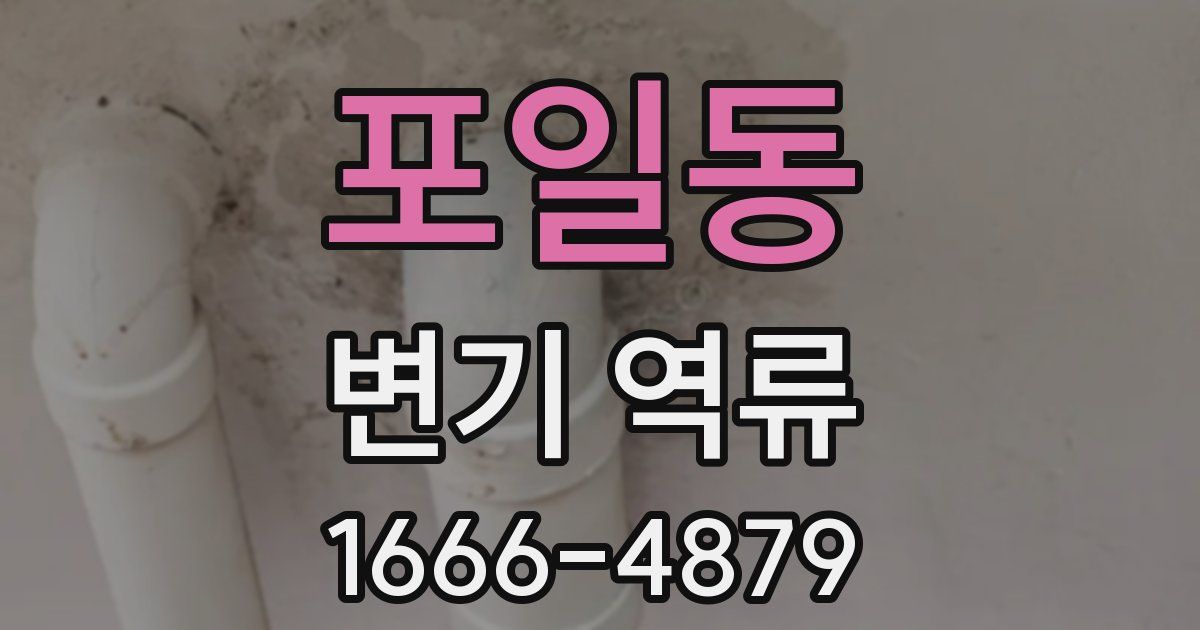 포일동 변기 역류