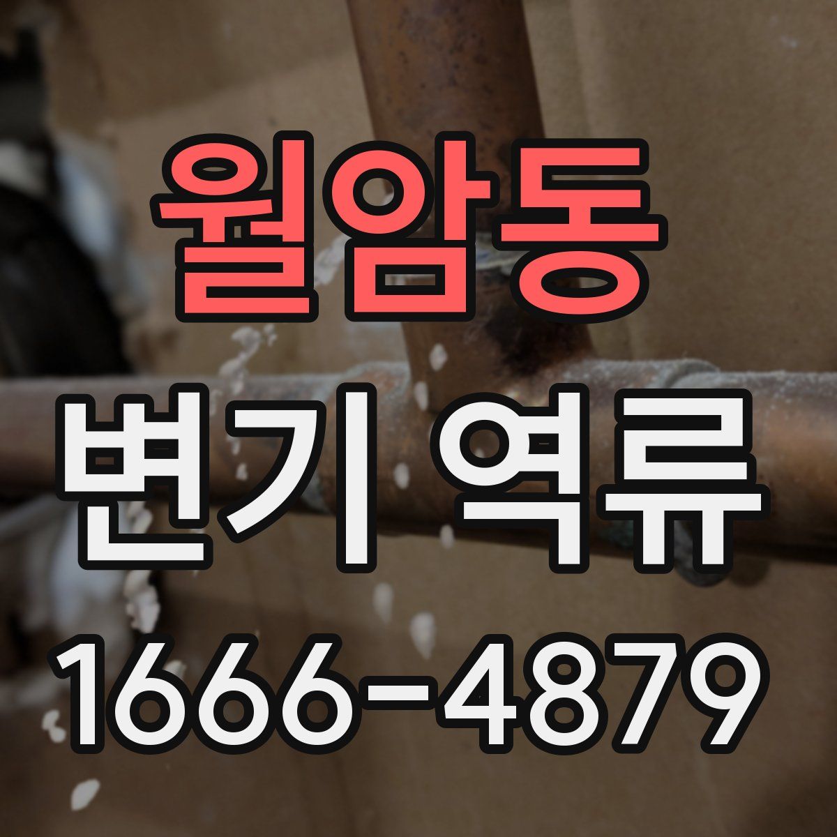 월암동 변기 역류