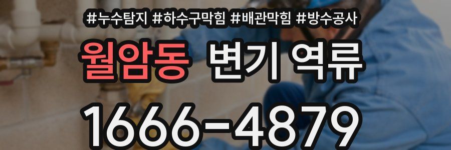 월암동 변기 역류